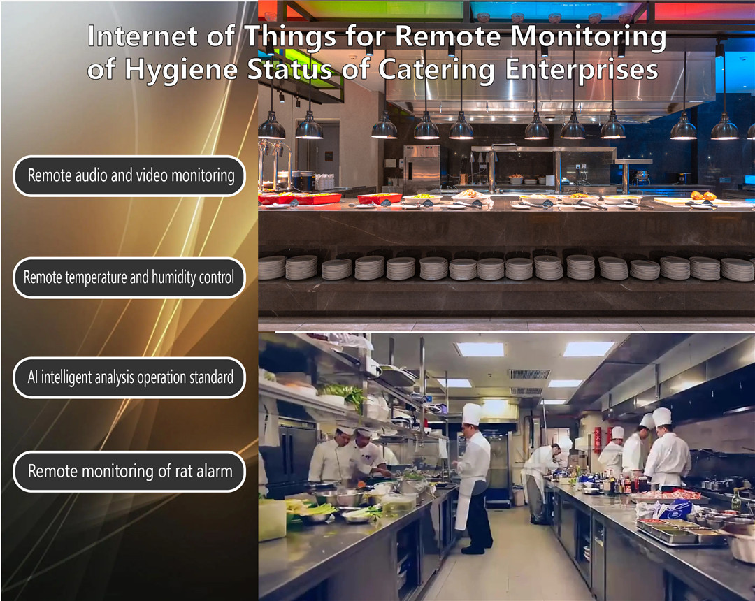 远程厨房监控（英文）-01.jpg