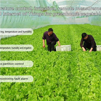 Internet of Things for remote monitoring and control of greenhouse vegetable temperature control irrigation