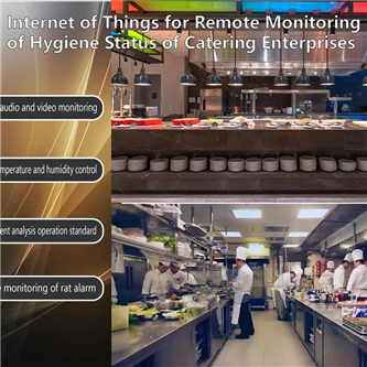 Internet of Things for Remote Monitoring of Hygiene Status of Catering Enterprises